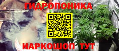 ГАЛЛЮЦИНОГЕННЫЕ ГРИБЫ Беслан