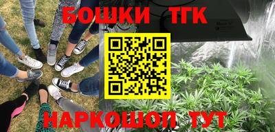 спиды Берёзовский