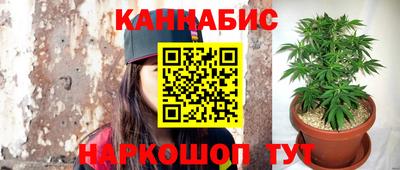 ГАЛЛЮЦИНОГЕННЫЕ ГРИБЫ Беслан