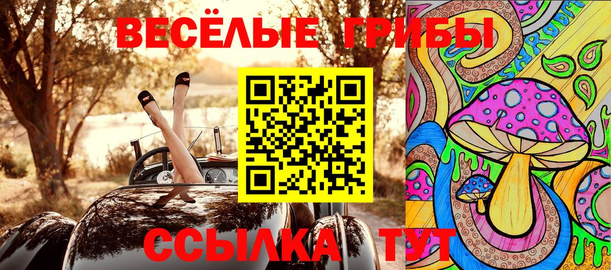 купить наркотики цена  Галлюциногенные грибы MAGIC MUSHROOMS  Вход с VPN  Балахна  Псилоцибиновые грибы мухоморы 